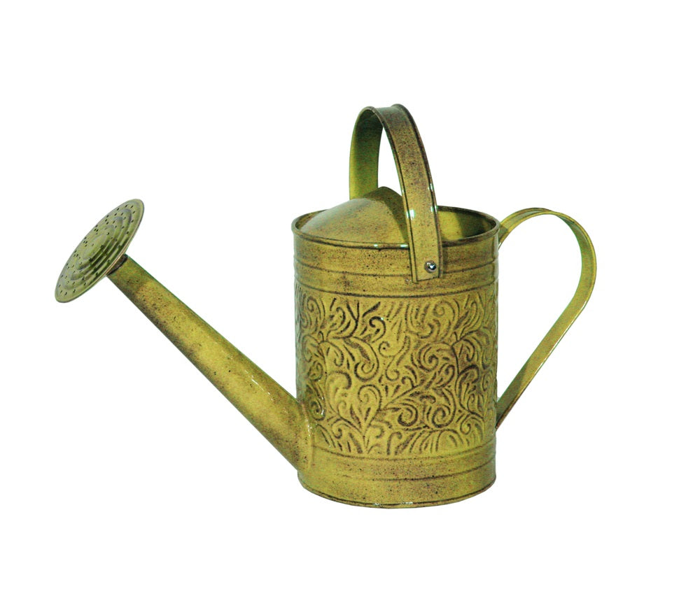 Robert Allen MPT01183 Morgan Watering Can, Topaz, 1 gallon