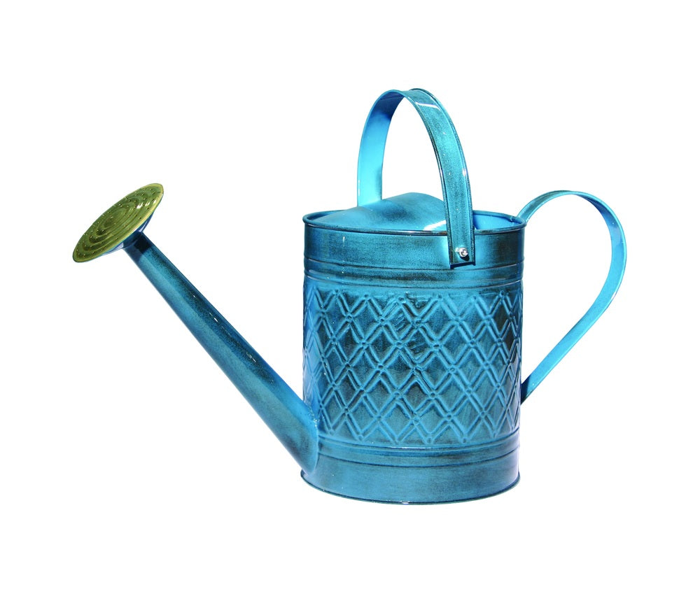 Robert Allen MPT01503 Wexley Watering Can, Metal, 2 gallon