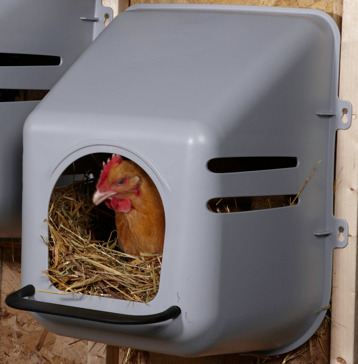 buy poultry equipment & supplies at cheap rate in bulk. wholesale & retail farm livestock tools & supply store.
