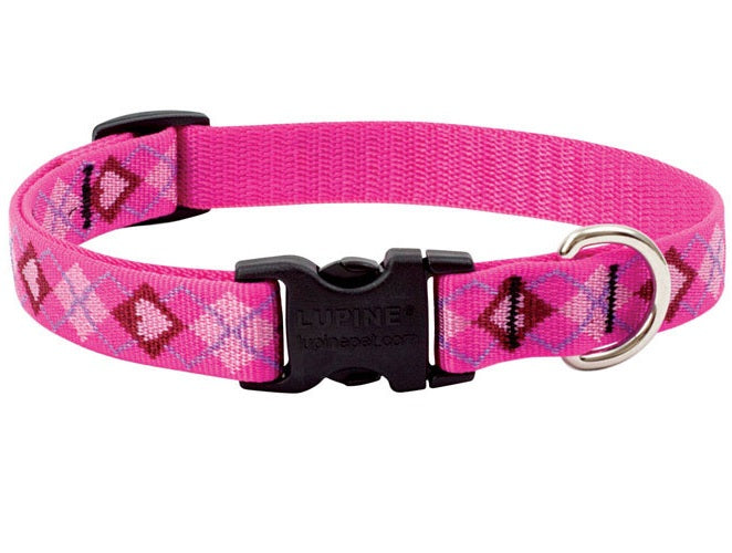 buy dogs collar at cheap rate in bulk. wholesale & retail bulk pet toys & supply store.