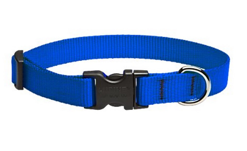 buy dogs collar at cheap rate in bulk. wholesale & retail bulk pet care products store.