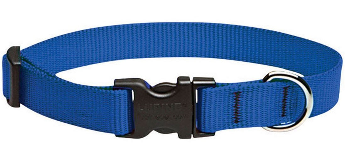 buy dogs collar at cheap rate in bulk. wholesale & retail pet insect supplies store.