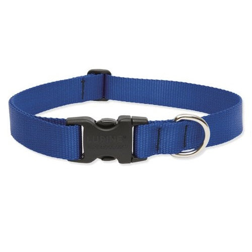 buy dogs collar at cheap rate in bulk. wholesale & retail bulk pet toys & supply store.