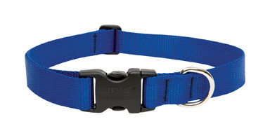 buy dogs collar at cheap rate in bulk. wholesale & retail pet care tools & supplies store.
