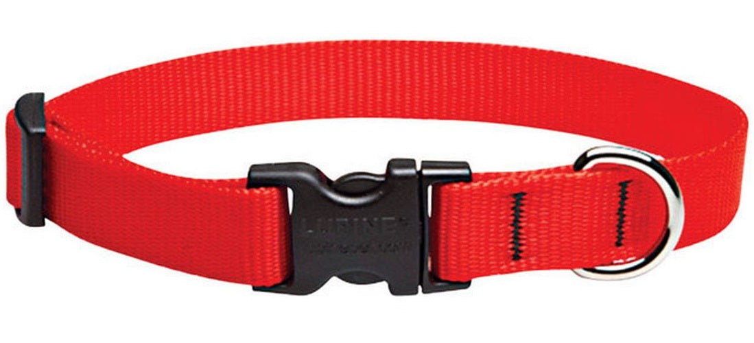 buy dogs collar at cheap rate in bulk. wholesale & retail pet care tools & supplies store.
