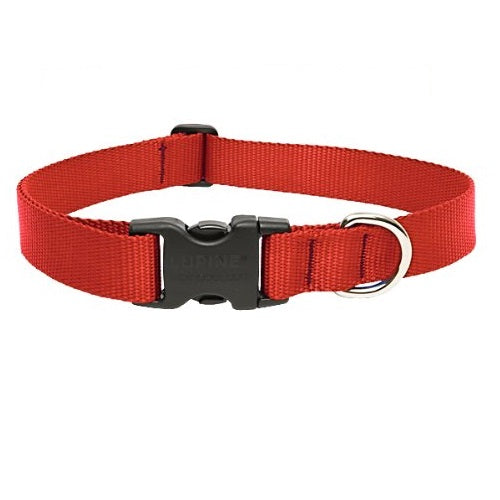 buy dogs collar at cheap rate in bulk. wholesale & retail bulk pet food supply store.