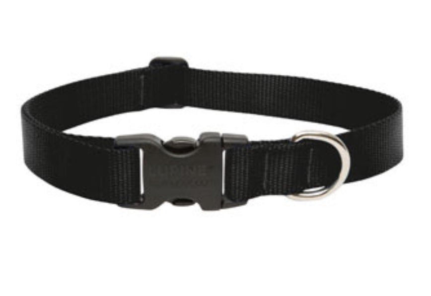 buy dogs collar at cheap rate in bulk. wholesale & retail bulk pet food supply store.