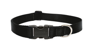 buy dogs collar at cheap rate in bulk. wholesale & retail pet care goods & accessories store.