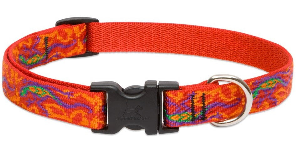 buy dogs collar at cheap rate in bulk. wholesale & retail pet care items store.