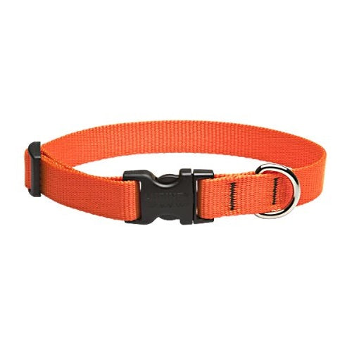 buy dogs collar at cheap rate in bulk. wholesale & retail bulk pet toys & supply store.