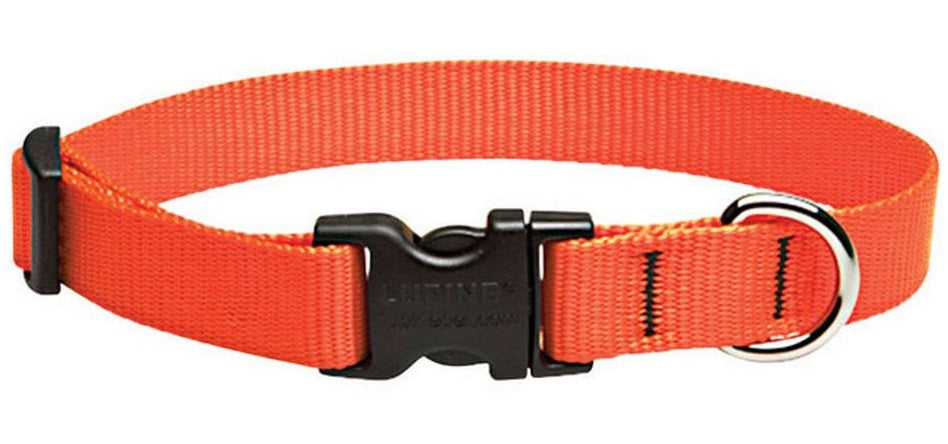 buy dogs collar at cheap rate in bulk. wholesale & retail pet food supplies store.