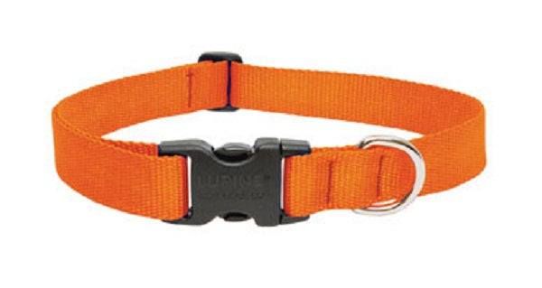 buy dogs collar at cheap rate in bulk. wholesale & retail birds, cats & dogs supplies store.