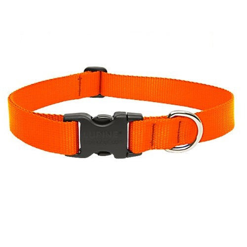 buy dogs collar at cheap rate in bulk. wholesale & retail pet insect supplies store.