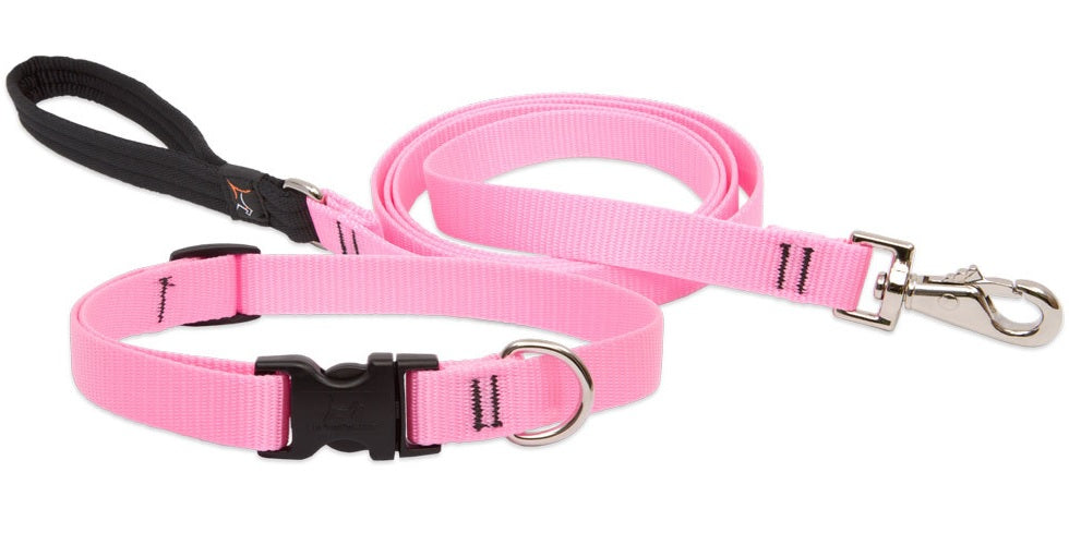 buy dogs collar at cheap rate in bulk. wholesale & retail pet food supplies store.