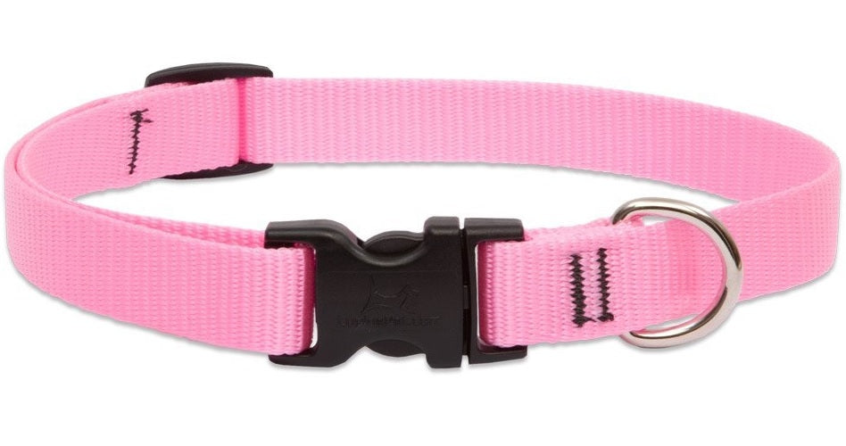 buy dogs collar at cheap rate in bulk. wholesale & retail pet food supplies store.