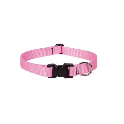 buy dogs collar at cheap rate in bulk. wholesale & retail birds, cats & dogs supplies store.