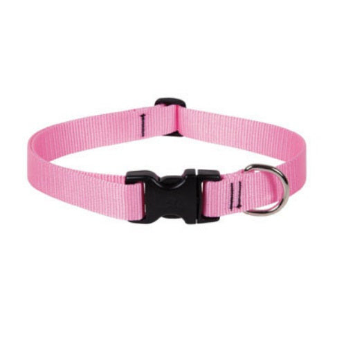 buy dogs collar at cheap rate in bulk. wholesale & retail birds, cats & dogs supplies store.