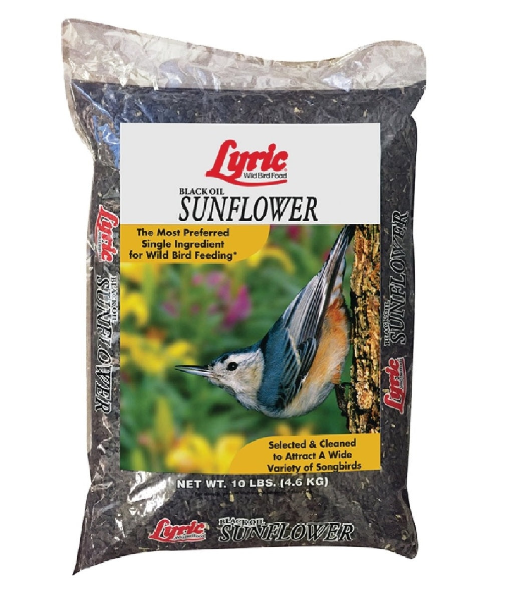 Lyric 26-47421 Black Oil Sunflower Bird Seed, 10 lbs
