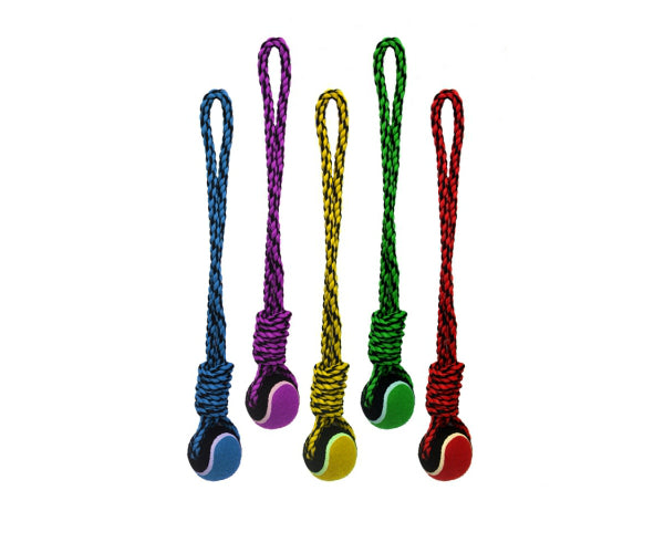buy toys for dogs at cheap rate in bulk. wholesale & retail pet insect supplies store.