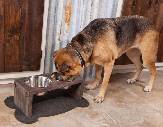 buy feeding & watering items for dogs at cheap rate in bulk. wholesale & retail bulk pet care supplies store.