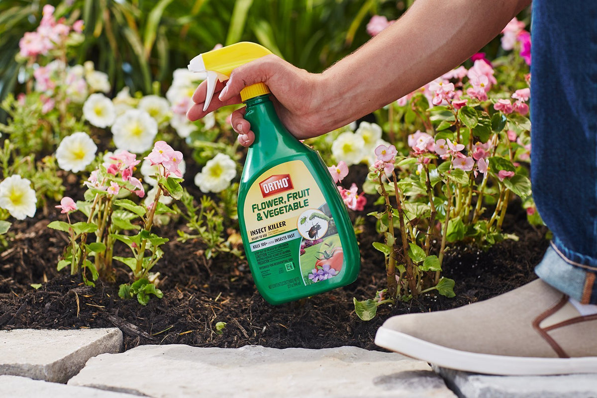 Buy acetamipri - Online store for lawn insect control, liquid - ready to use in USA, on sale, low price, discount deals, coupon code