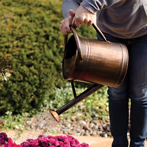 Panacea 84872 Copper Watering Can, 2 Gallon, Metal — LIfe and Home