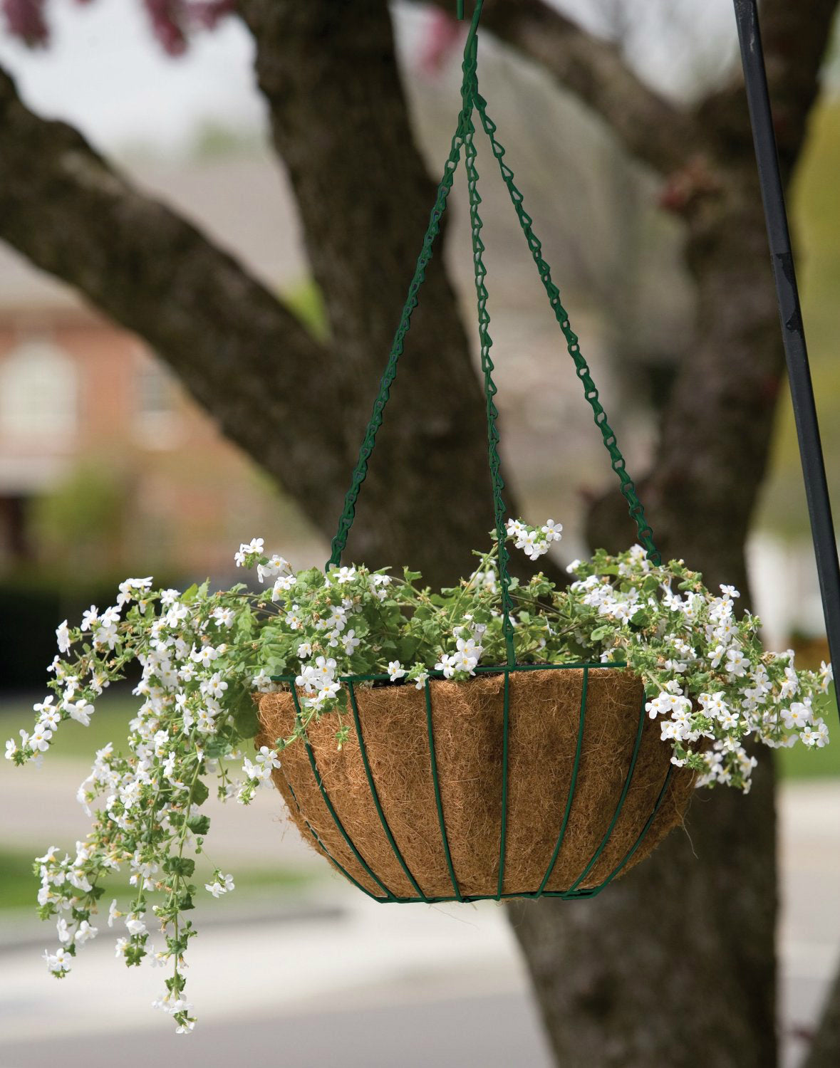 buy hanging planters & pots at cheap rate in bulk. wholesale & retail landscape edging & fencing store.