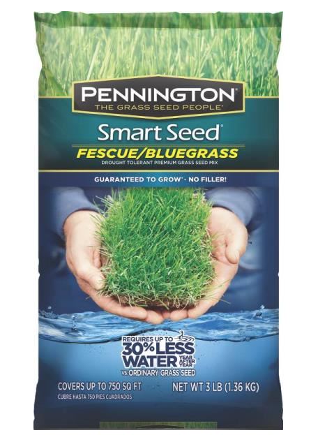 buy seeds at cheap rate in bulk. wholesale & retail lawn & plant care fertilizers store.