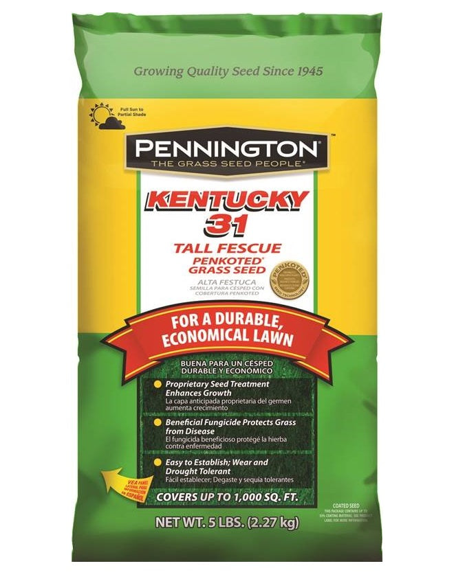 Pennington 100516050 Kentucky 31 Tall Fescue Penkoted Grass Seed, 5 Lb
