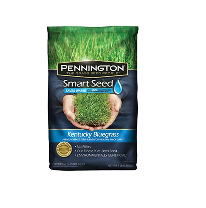 buy seeds at cheap rate in bulk. wholesale & retail lawn & plant protection items store.