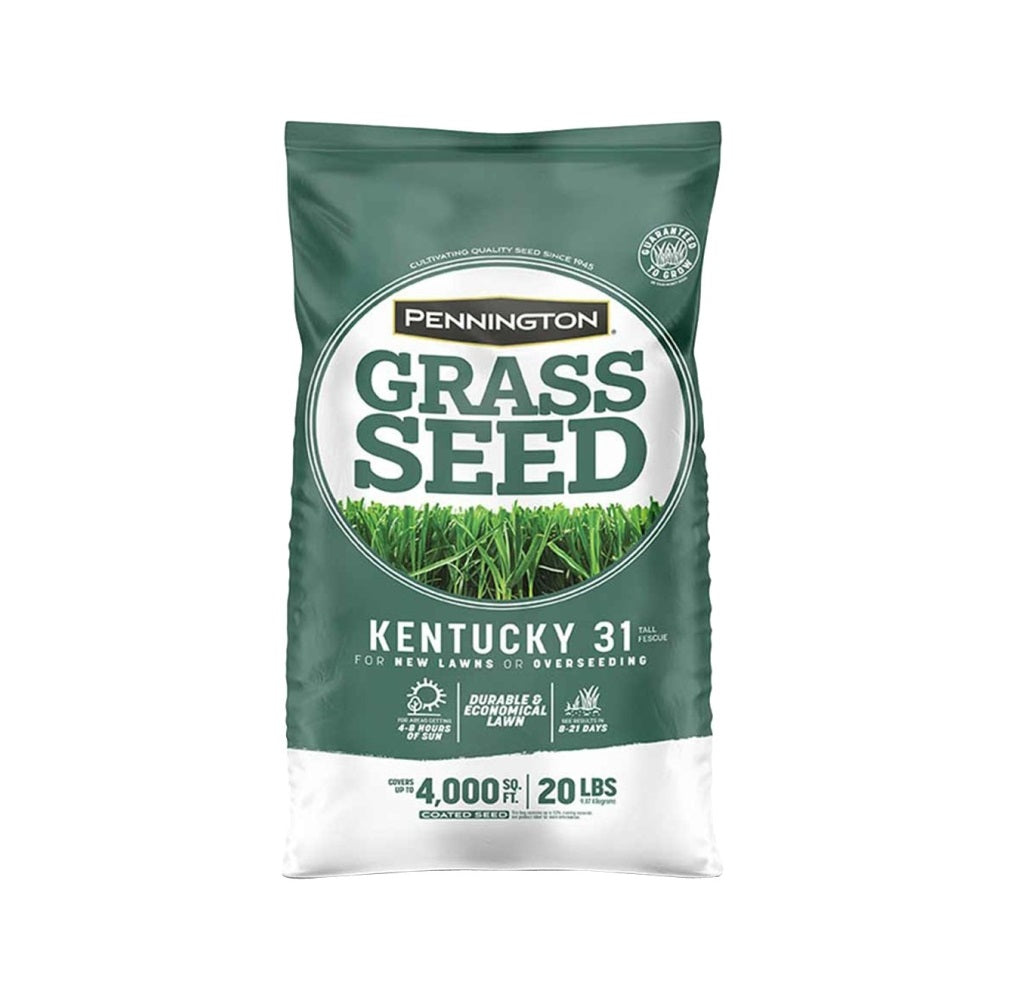 Pennington 100543701 Kentucky Fescue Grass Seed, 20 lb