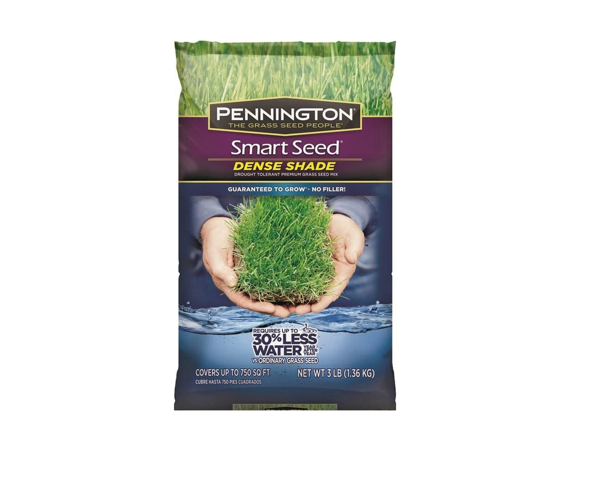 Pennington 100543702 Smart Seed Dense Shade Grass Seed, 3 Lbs