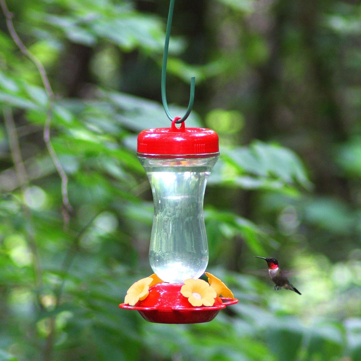 Perky-Pet 131TF Glass Top Fill Hummingbird Feeder, 16 Oz