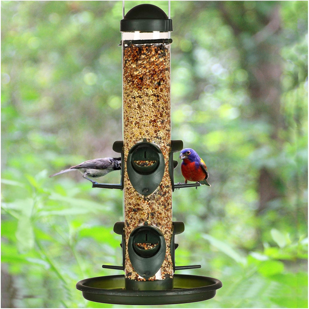 Perky-Pet 311 Safari Tube Bird Feeder, 1.5 Lbs