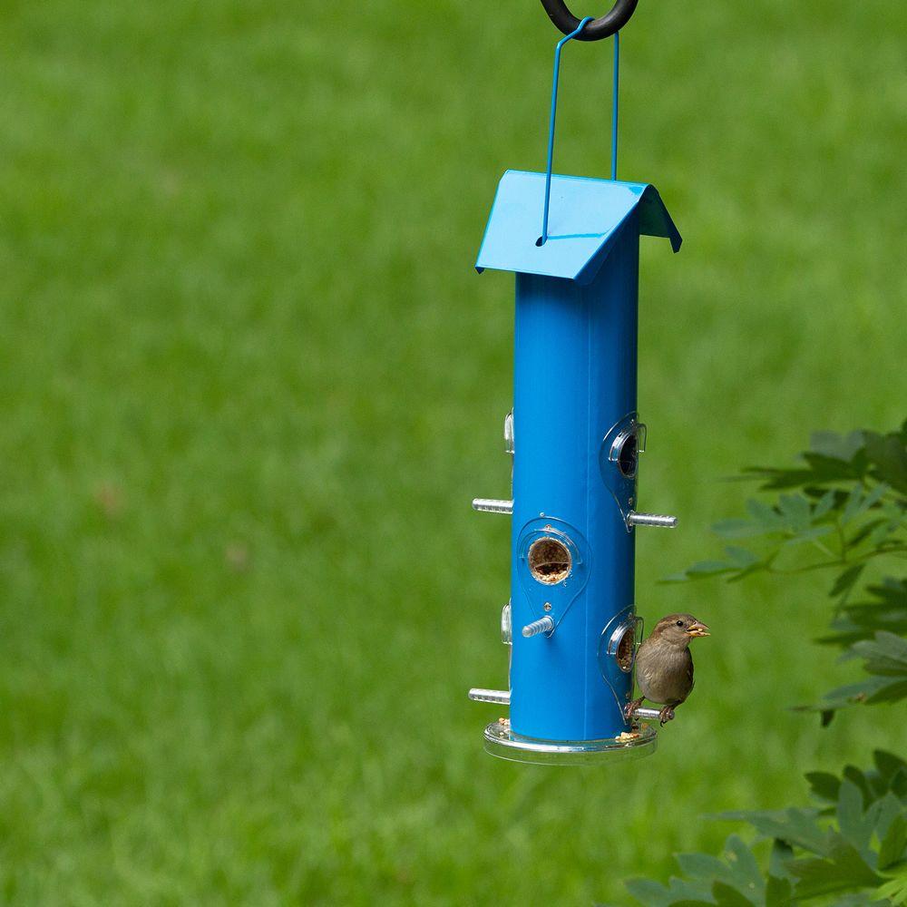 Perky-Pet 391 Metal Tube Wild Bird Feeder, Blue