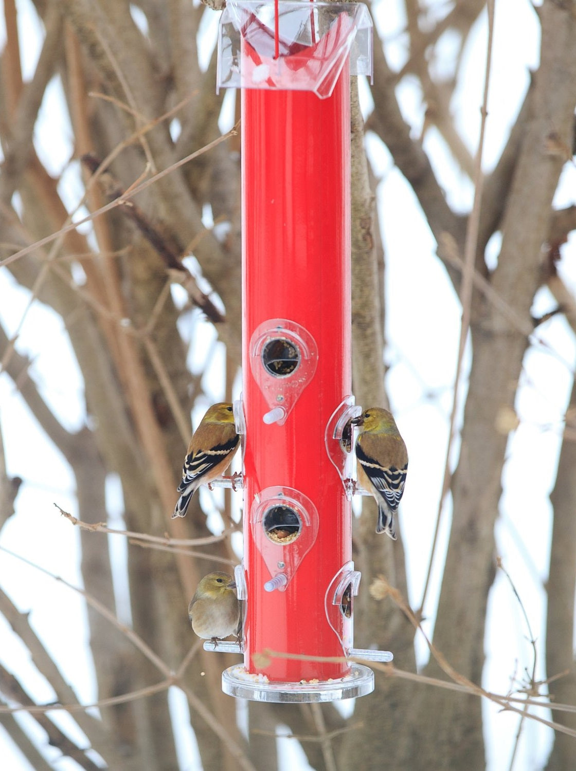 Perky-Pet 392 Metal Tube Wild Bird Feeder, Red