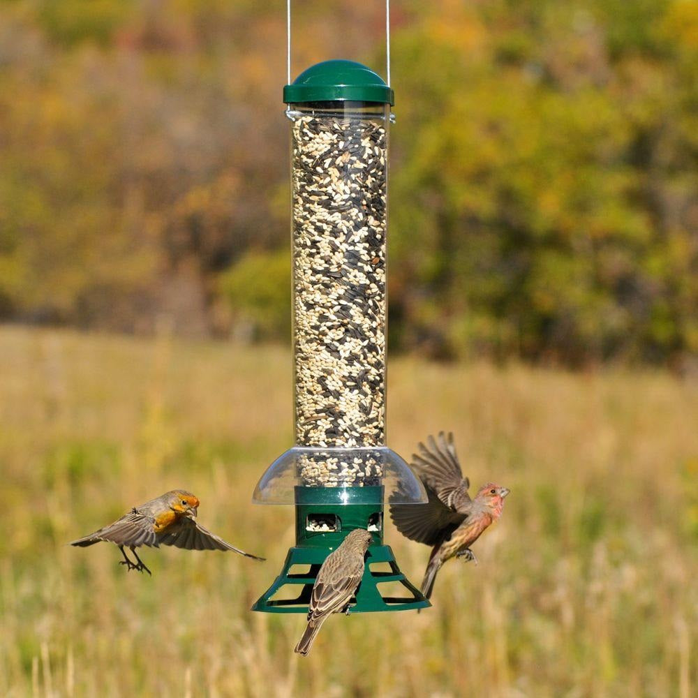 Perky-Pet 5141-2 Squirrel Slammer Bird Feeder