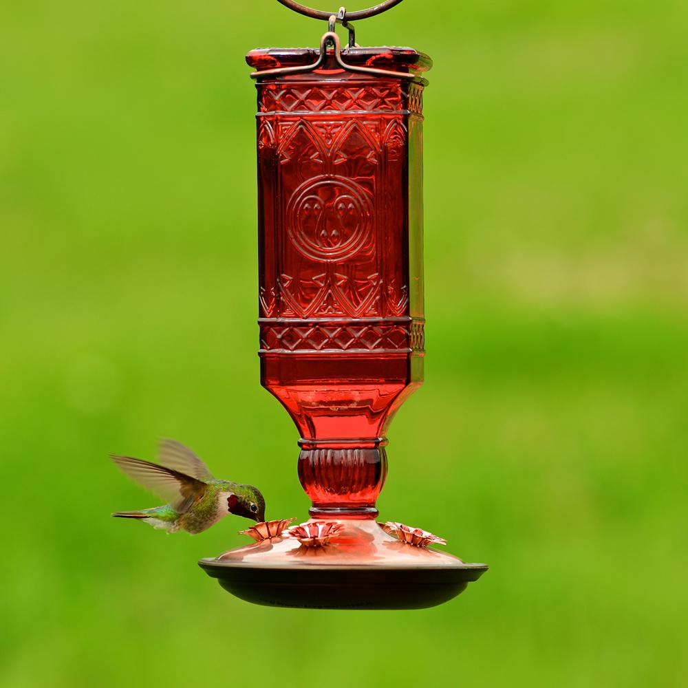 Perky-Pet 8116-2 Square Antique Bottle Glass Hummingbird Feeder, Antique Red