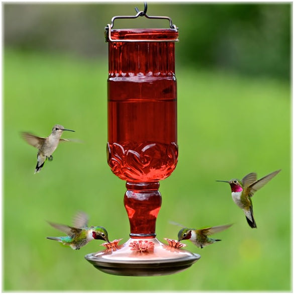 Perky-Pet 8119-2 Antique Bottle Hummingbird Feeder, 24 Oz, Red