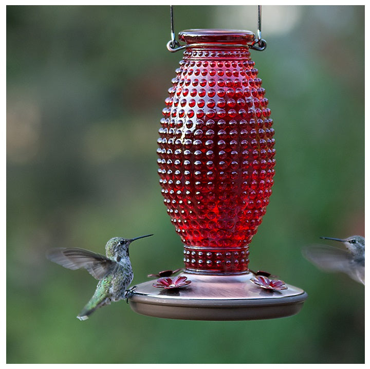 Perky-Pet 8130-2 Hobnail Vintage Glass Hummingbird Feeder, Red