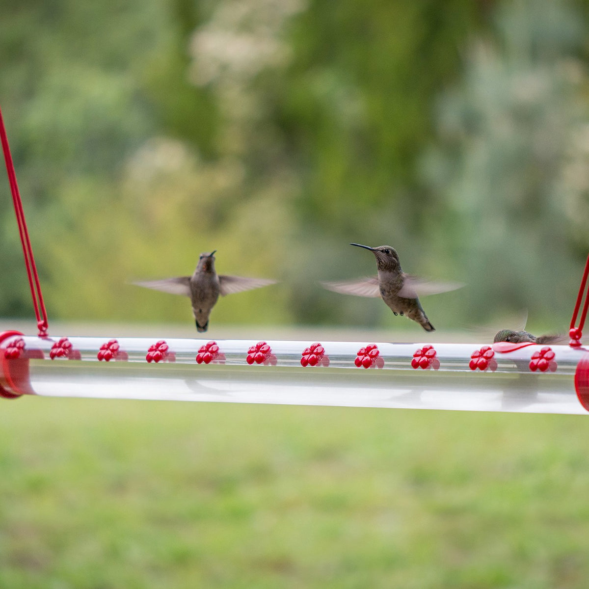 Perky-Pet HUMBAR200 Hummingbird Feeder, 2', 22 ports