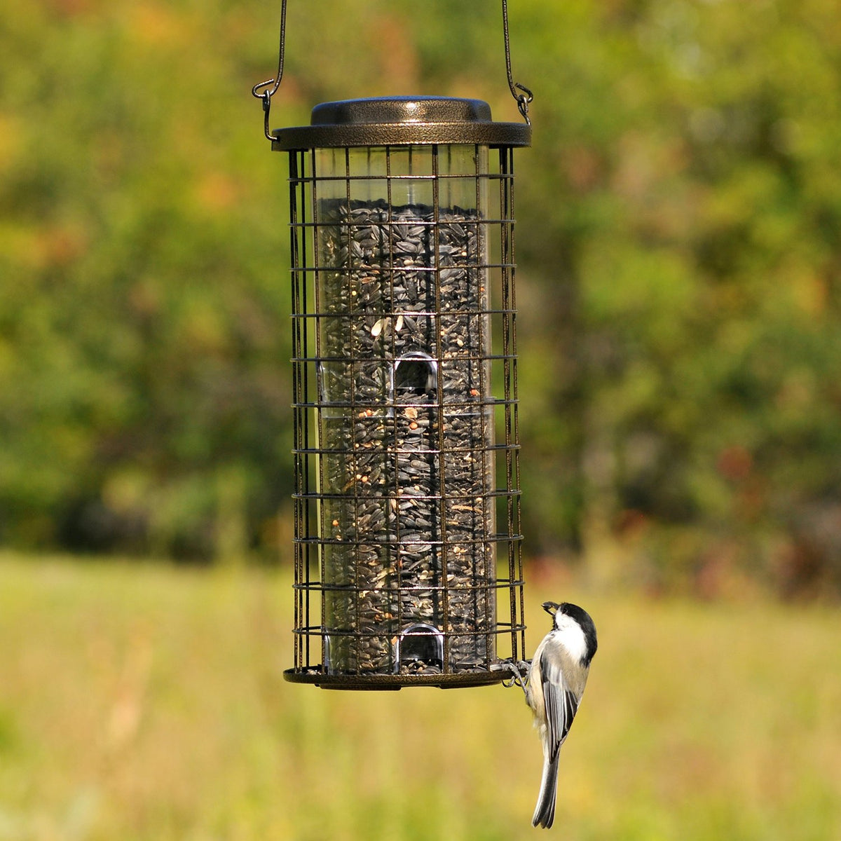 Perky Pet 114 Squirrel Stumper Bird Feeder, 3 Lbs