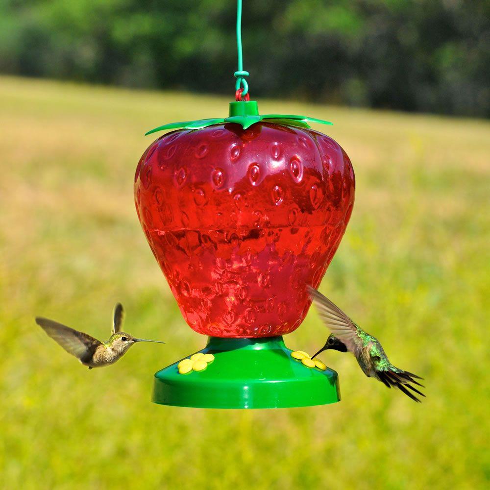 Perky Pet 260P Strawberry Plastic Hummingbird Feeder, 48 Oz Capacity