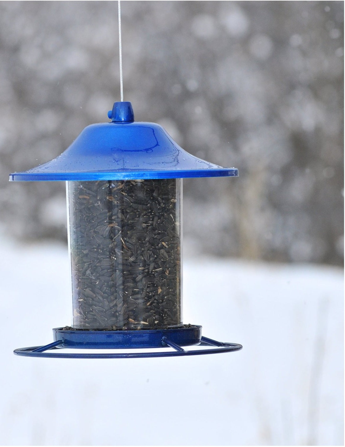 Perky Pet 312B Sparkle Panorama Bird Feeder, Blue, 2 Lb