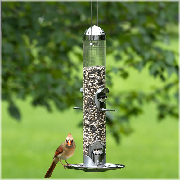 Perky Pet 384-2 2-in-1 Wild Bird Feeder, 1.8 Lbs