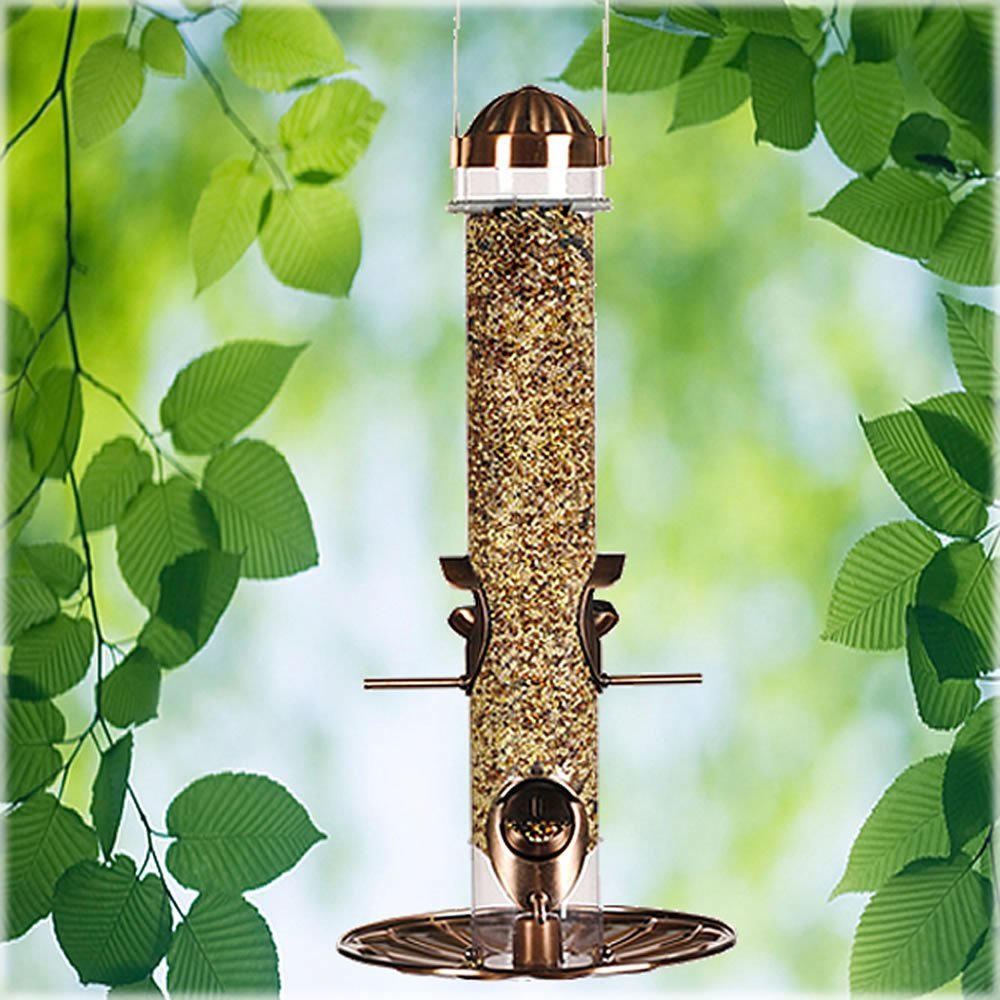 Perky-Pet 385-2 2-in-1 Wild Bird Feeder, 1.8 Lbs Capacity