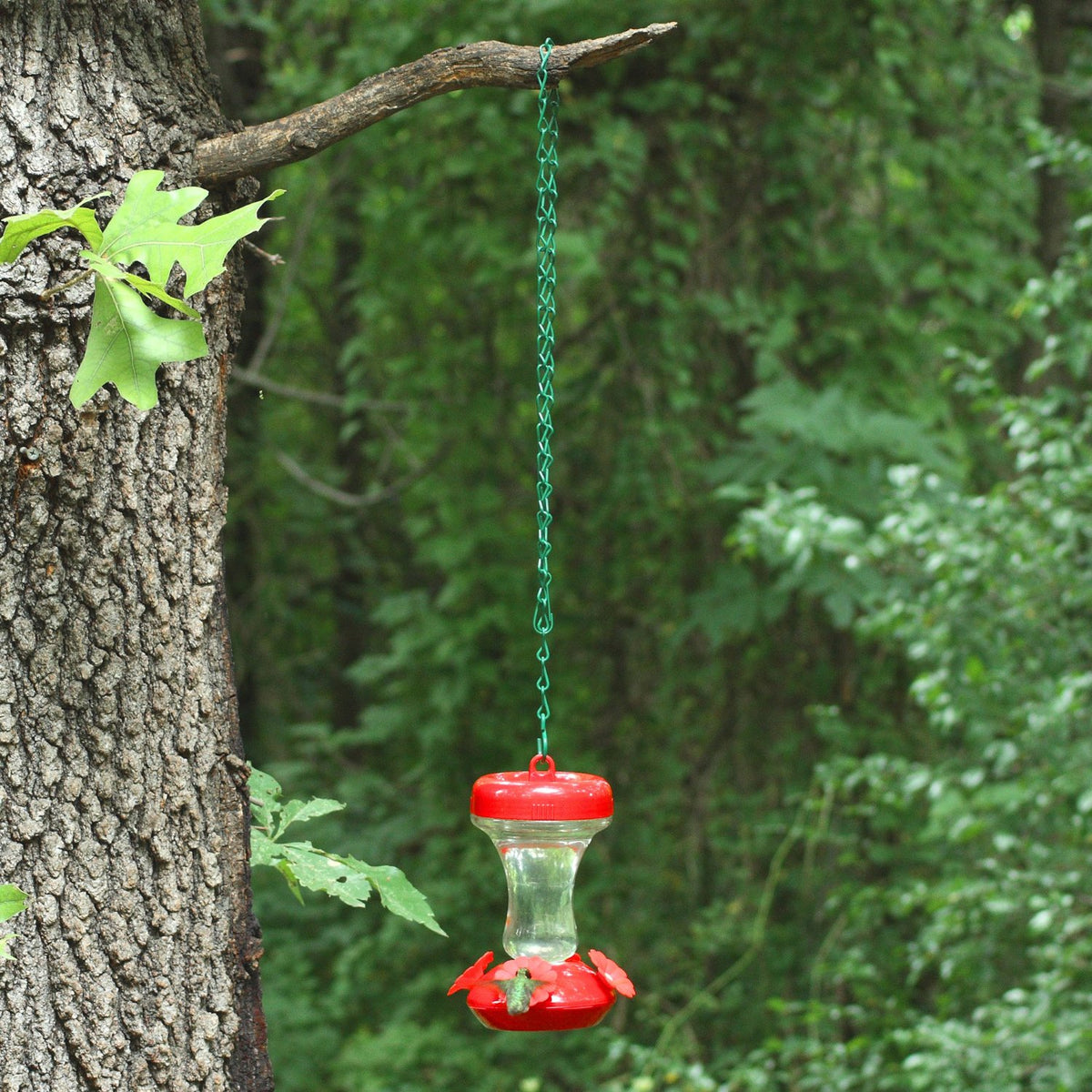 Perky Pet 65T Bird Feeder Hanging Chain, 33", Metal