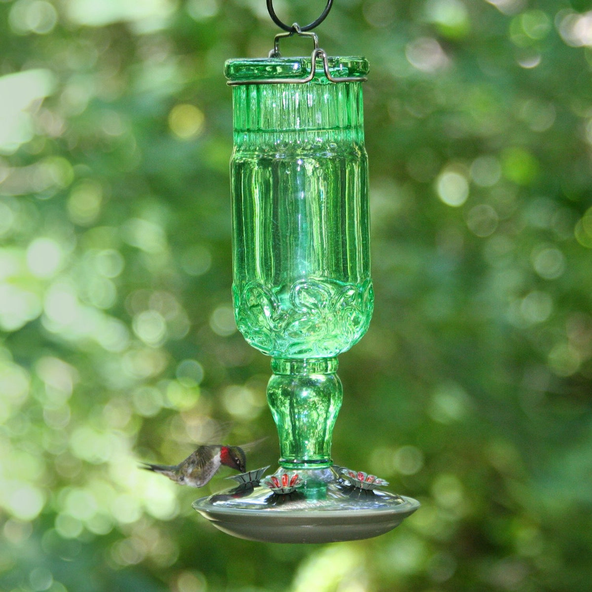 Perky Pet 8120-2 Antique Bottle Hummingbird Bird Feeder, 24 Oz, Glass, Green