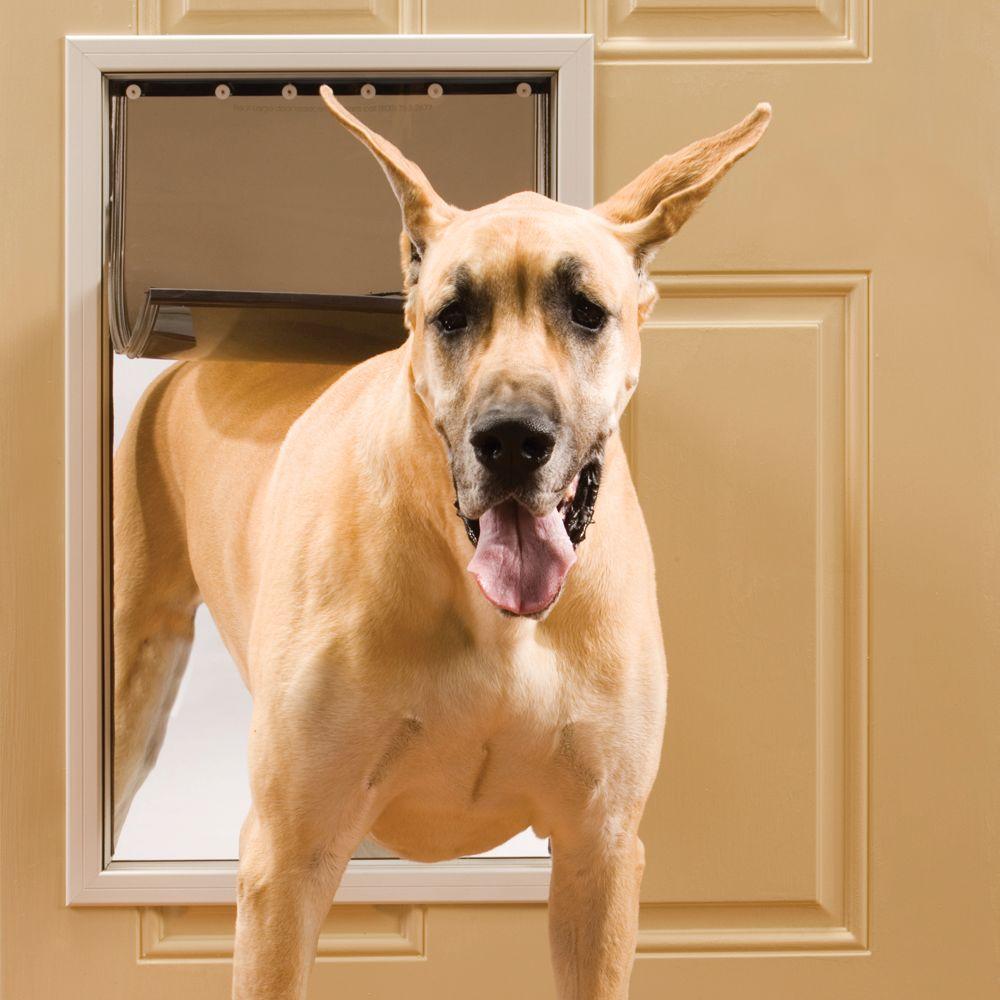 buy doors, gates & ramps for dogs at cheap rate in bulk. wholesale & retail bulk pet food supply store.