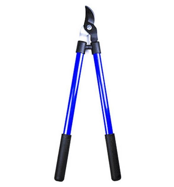 buy shears at cheap rate in bulk. wholesale & retail lawn & garden hand tools store.
